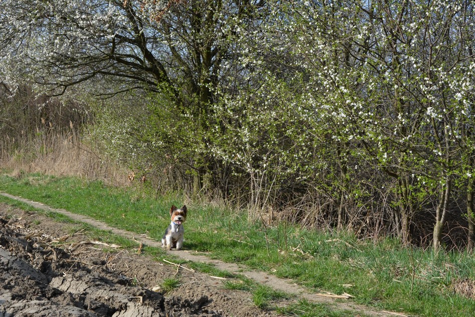 DSC_0113